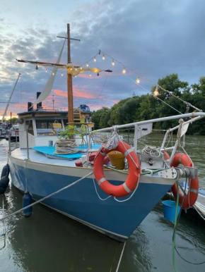 Houseboat Péniche sur la Seine